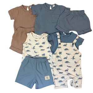 Kids Dinosaur Print and Solid Outfit Set